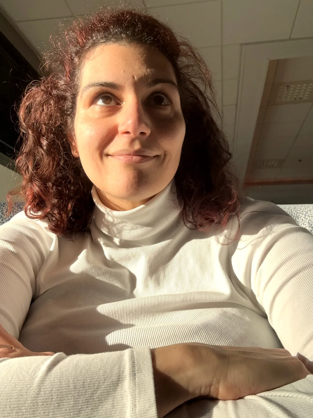 Image description